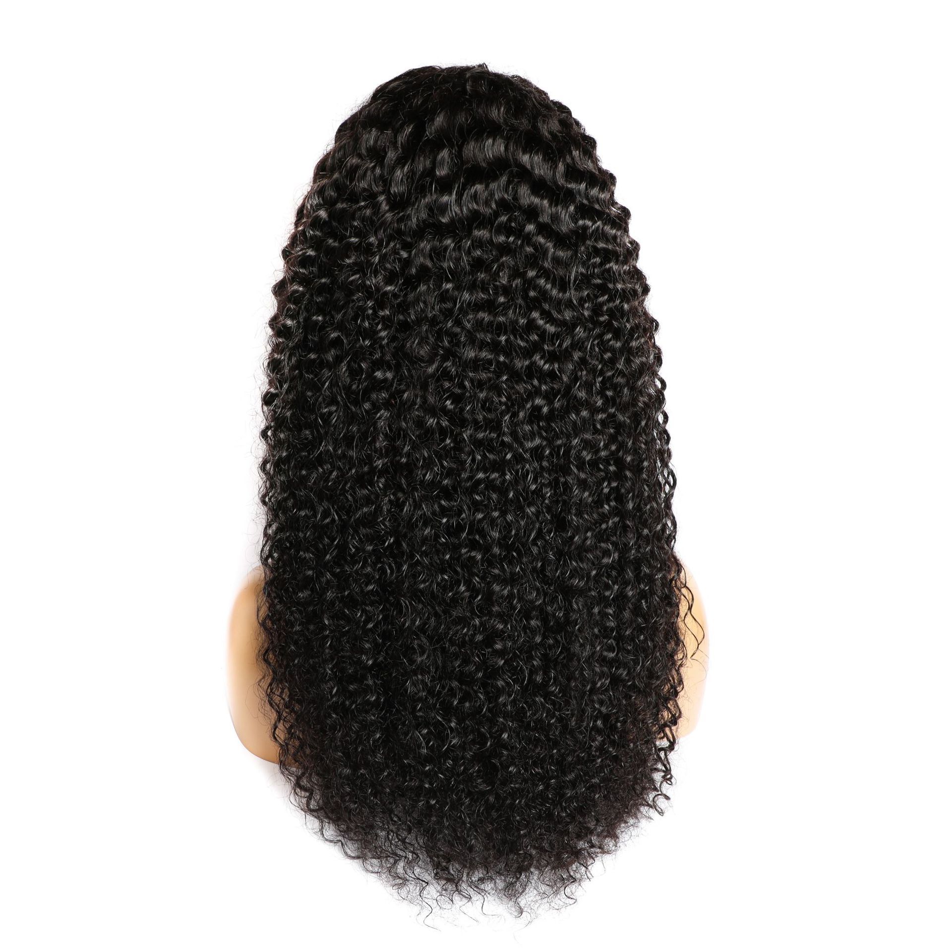 Curly Human Hair Wig